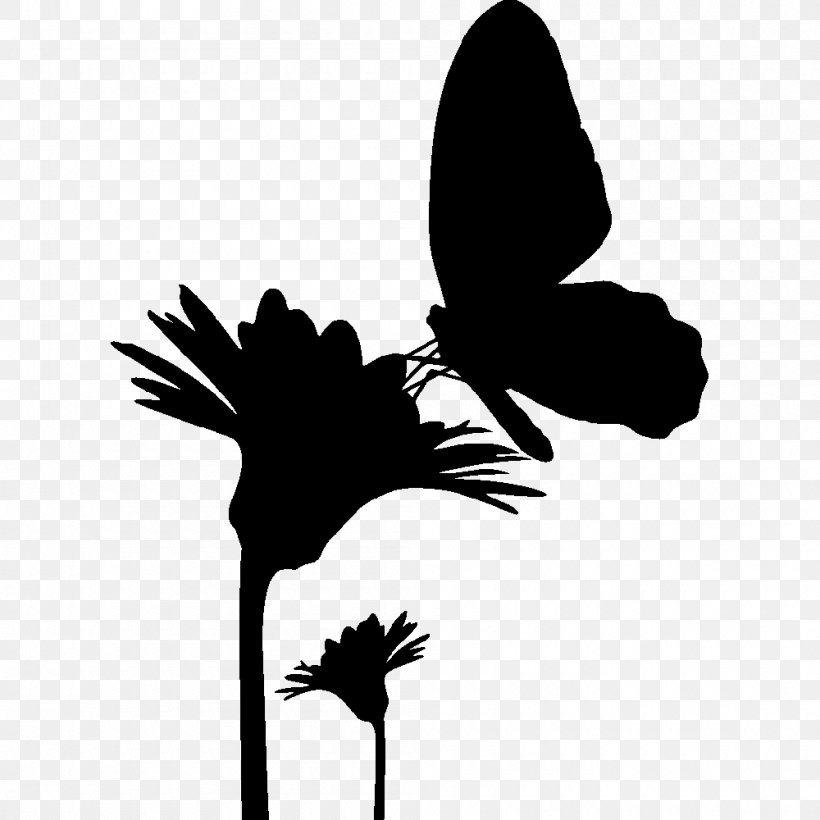 Butterfly Silhouette Drawing, PNG, 1000x1000px, Butterfly, Beak, Bird, Black And White, Branch Download Free