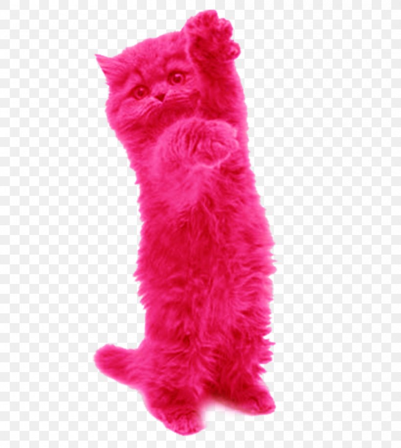 Cat Pink Cat Toy Small To Medium-sized Cats Fur, PNG, 1000x1117px, Cat, Cat Supply, Cat Toy, Dog Toy, Fur Download Free