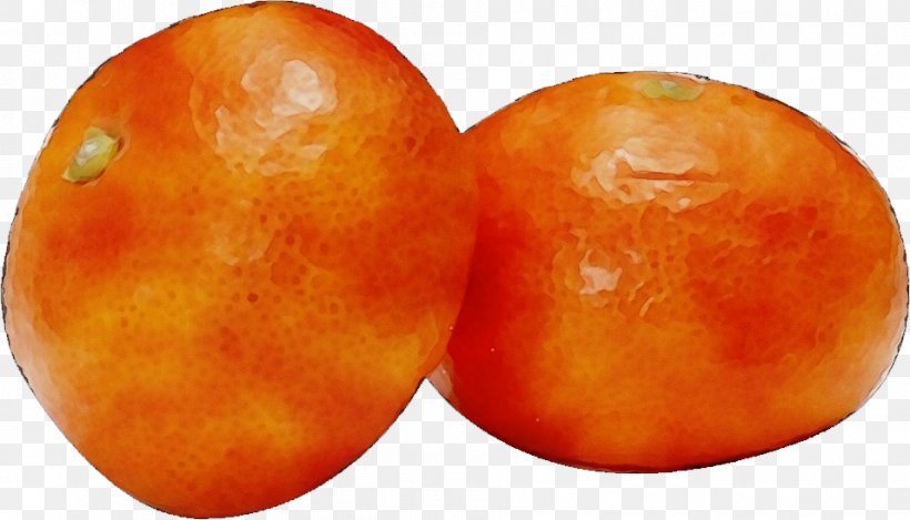 Orange, PNG, 957x548px, Watercolor, Citrus, Food, Fruit, Orange Download Free