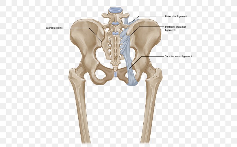 Sacroiliac Joint Dysfunction Iliolumbar Ligament, PNG, 520x512px, Joint, Anterior Sacroiliac Ligament, Bone, Hip, Iliac Crest Download Free