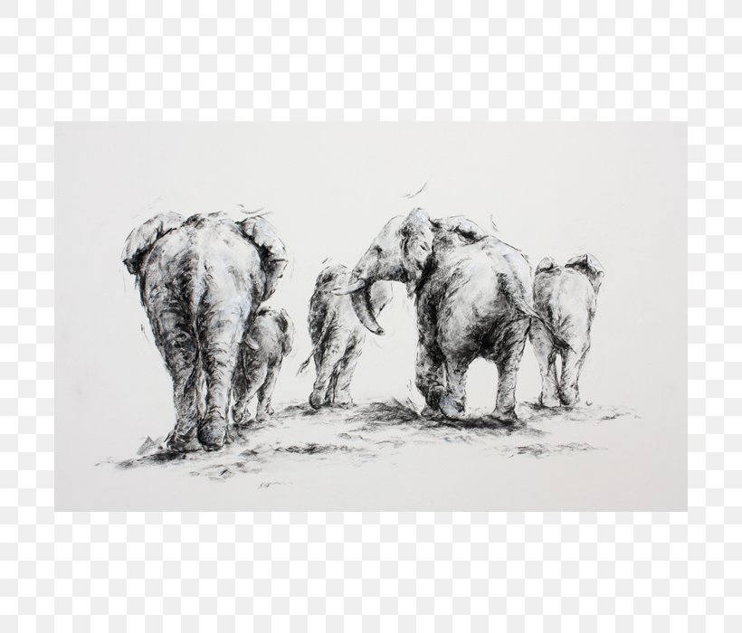 Indian Elephant African Elephant Paper Printing Cattle, PNG, 700x700px, Indian Elephant, African Elephant, Black And White, Cattle, Cattle Like Mammal Download Free