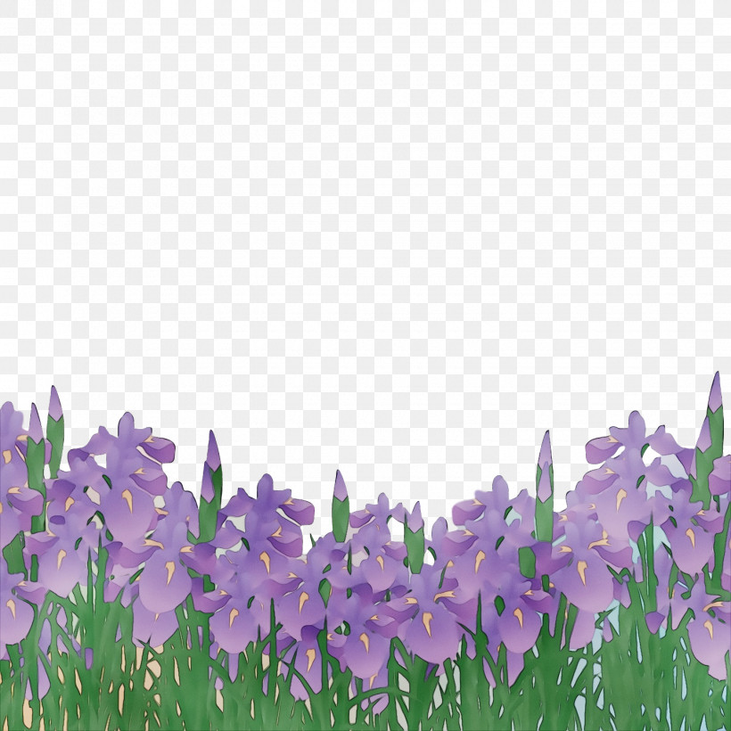 Lavender, PNG, 1440x1440px, Watercolor, Bellflower Family, English Lavender, Lavender, Meadow Download Free