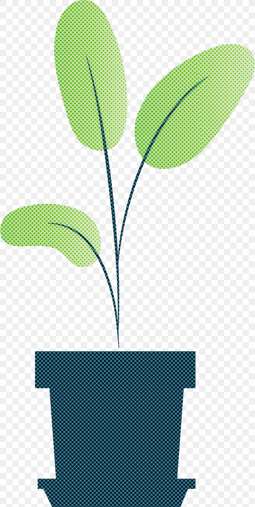 Leaf Plant Stem Green Branch Vascular Plant, PNG, 1509x3000px, Leaf, Biology, Branch, Flower, Green Download Free