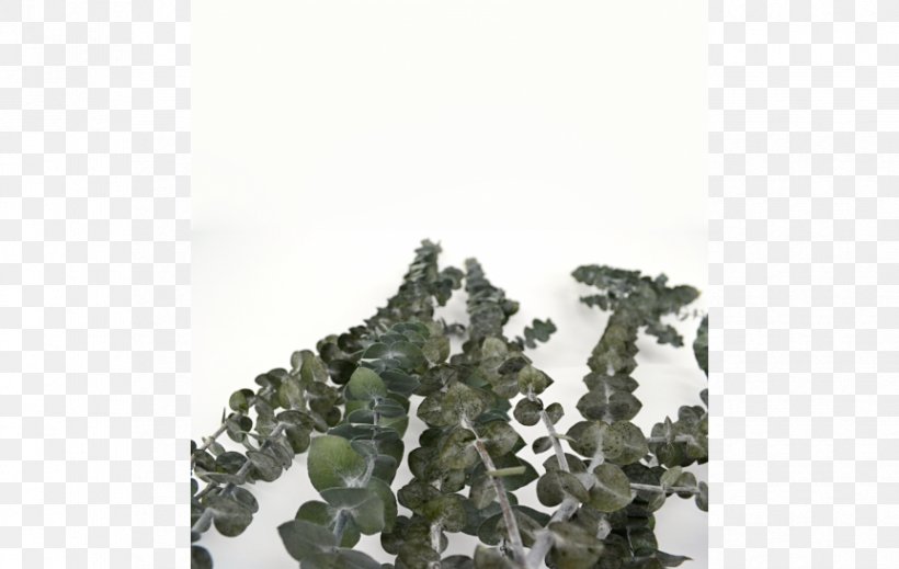 Military Camouflage Tree, PNG, 863x547px, Military Camouflage, Camouflage, Military, Tree Download Free