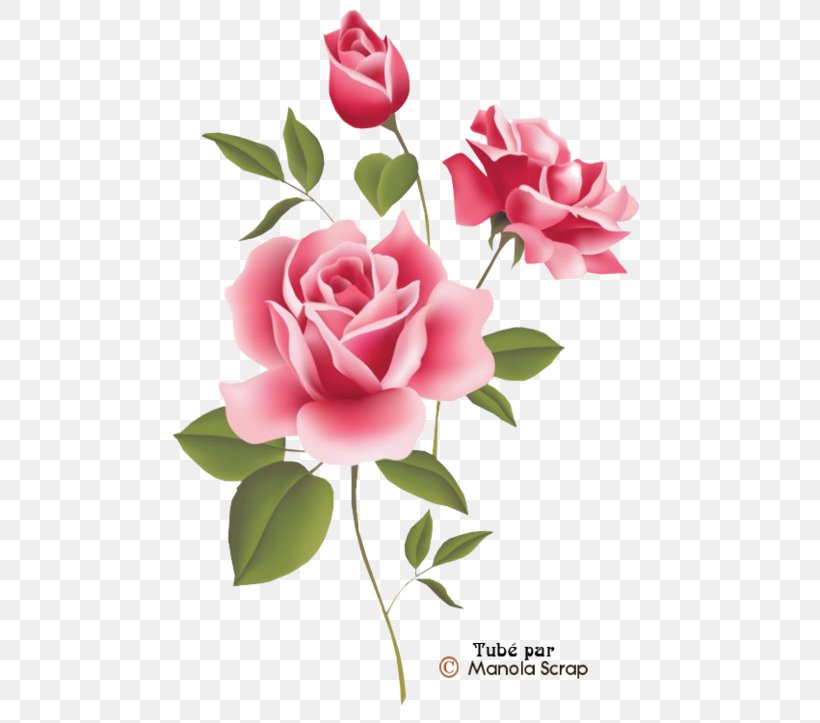 Rose Pink Flowers Clip Art Floral Design, PNG, 500x723px, Rose, Artificial Flower, Botany, Branch, Camellia Download Free