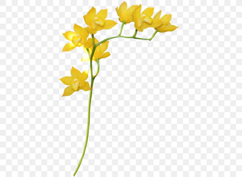 Yellow Flower Petal Floral Design, PNG, 422x600px, Yellow, Branch, Cut Flowers, Flora, Floral Design Download Free
