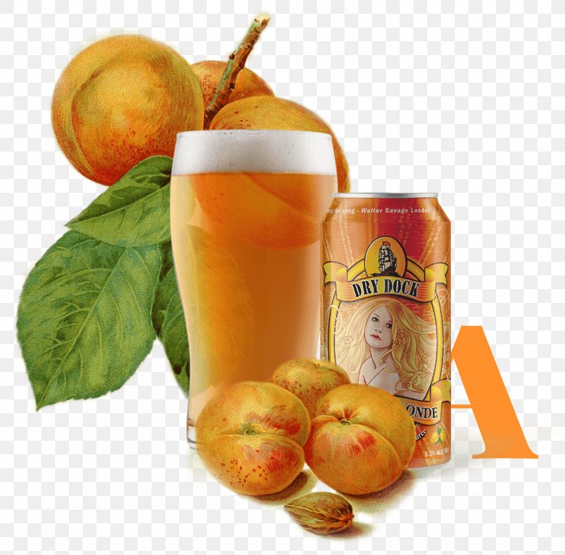 Beer Ale Apricot Brewery Dry Dock Brewing Company, PNG, 1108x1090px, Beer, Alcohol By Volume, Ale, Apricot, Beer Brewing Grains Malts Download Free