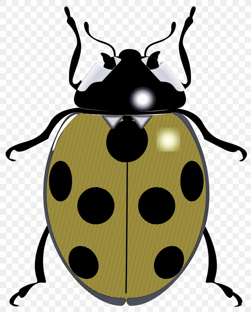 Insect Beetle Leaf Beetle Blister Beetles Darkling Beetles, PNG, 2000x2484px, Insect, Beetle, Blister Beetles, Darkling Beetles, Leaf Beetle Download Free
