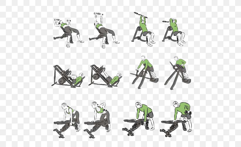 Physical Exercise Bodybuilding Weight Training Illustration, PNG, 500x500px, Physical Exercise, Barbell, Bench, Bench Press, Bodybuilding Download Free