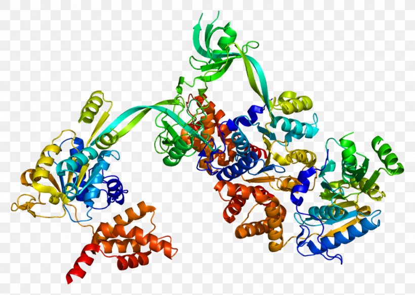 RuvB-like 1 Histone Nucleosome Protein RUVBL2, PNG, 976x694px, Histone, Area, Art, Atpase, Chromatin Immunoprecipitation Download Free