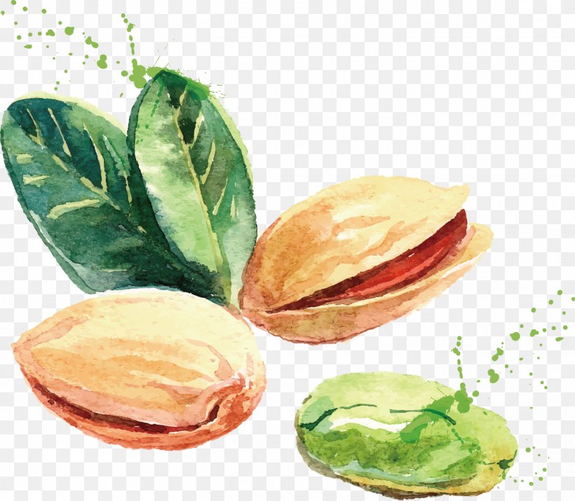 Watercolor Painting Drawing Nut Illustration, PNG, 1457x1272px, Watercolor Painting, Art, Dish, Drawing, Food Download Free