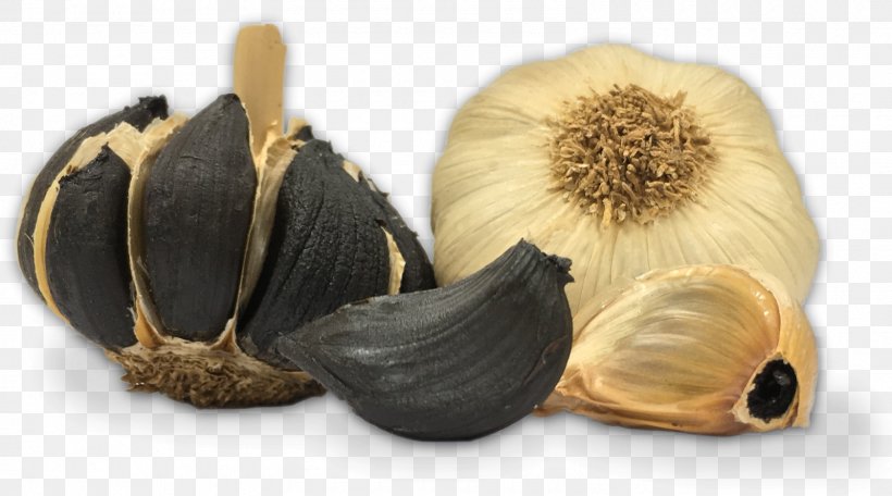 Black Garlic Food Ajos Pedroñete Vegetarian Cuisine, PNG, 1600x890px, Watercolor, Cartoon, Flower, Frame, Heart Download Free