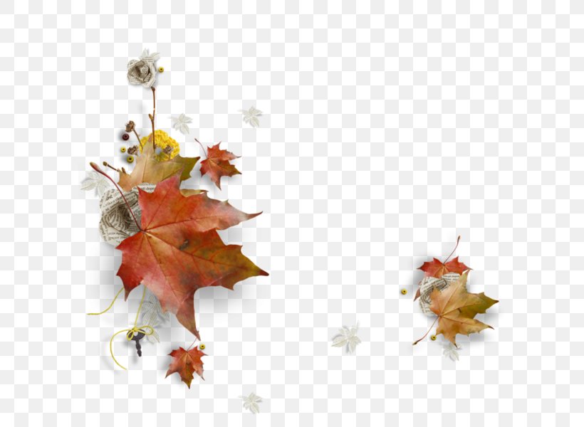 Clip Art Image Autumn WhatsApp GIF, PNG, 600x600px, Autumn, Branch, Email, Flower, Flowering Plant Download Free