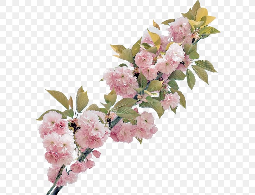 Cut Flowers Floral Design Rose Blossom, PNG, 600x627px, Flower, Artificial Flower, Blossom, Branch, Cherry Blossom Download Free