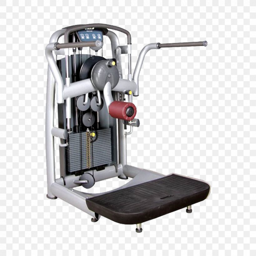 Fitness Centre Physical Fitness Exercise Equipment Exercise Machine, PNG, 1200x1200px, Watercolor, Cartoon, Flower, Frame, Heart Download Free