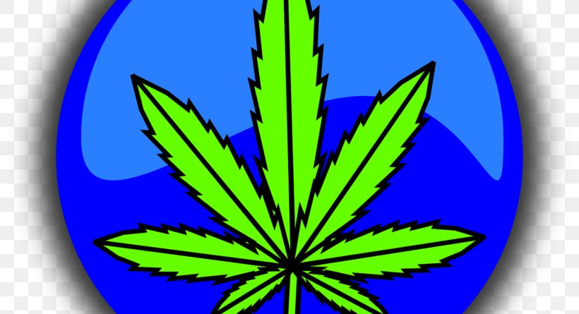 Medical Cannabis Cannabis Sativa Legality Of Cannabis Joint, PNG, 800x445px, Cannabis, Cannabidiol, Cannabis Sativa, Cannabis Smoking, Drug Download Free