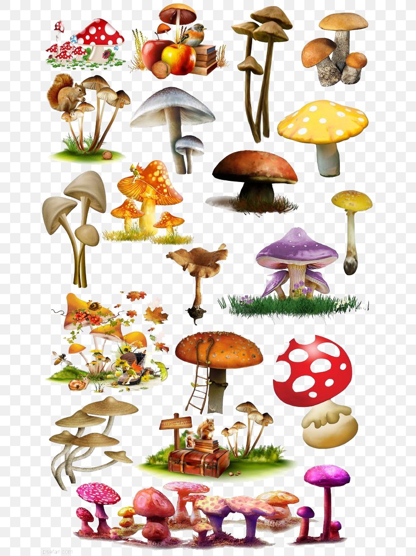 Mushroom Fungus Illustration, PNG, 658x1097px, Mushroom, Art, Concept Art, Food, Fruit Download Free