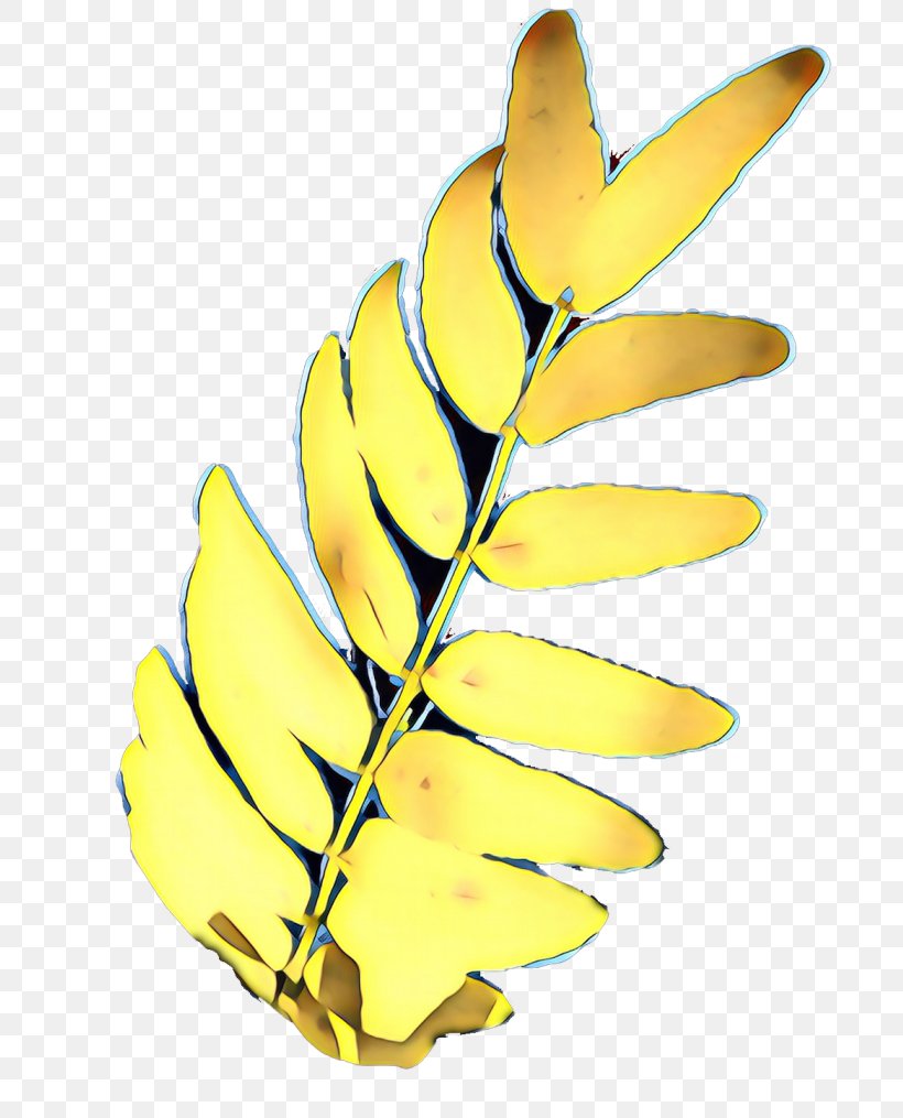 Plant Stem Leaf Yellow Clip Art Flowering Plant, PNG, 737x1015px, Plant Stem, Banana Family, Botany, Flowering Plant, Fruit Download Free