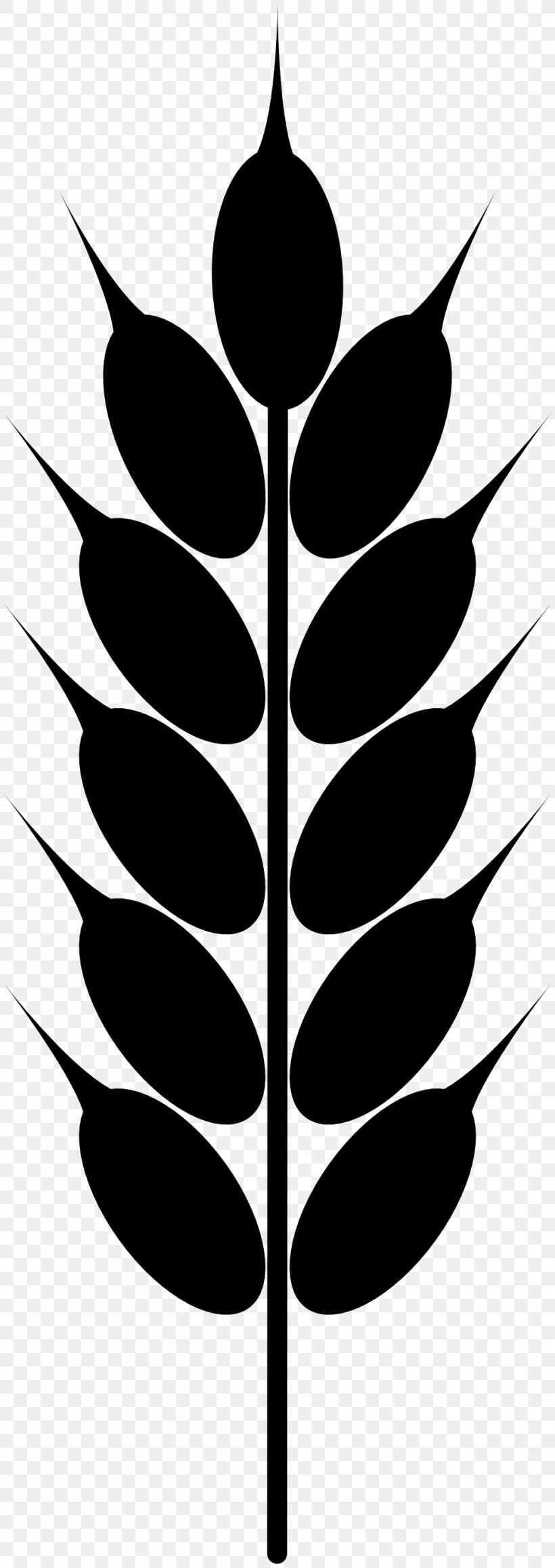 Wheat Grain White Clip Art, PNG, 999x2825px, Wheat, Black And White, Branch, Drawing, Ear Download Free