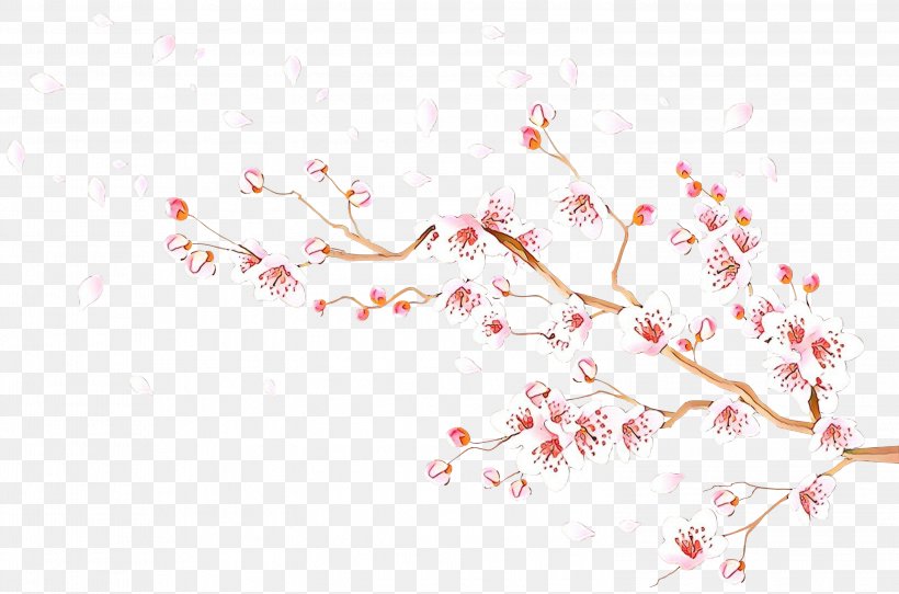 Cherry Blossom, PNG, 2999x1984px, Cartoon, Blossom, Branch, Cherry Blossom, Flower Download Free