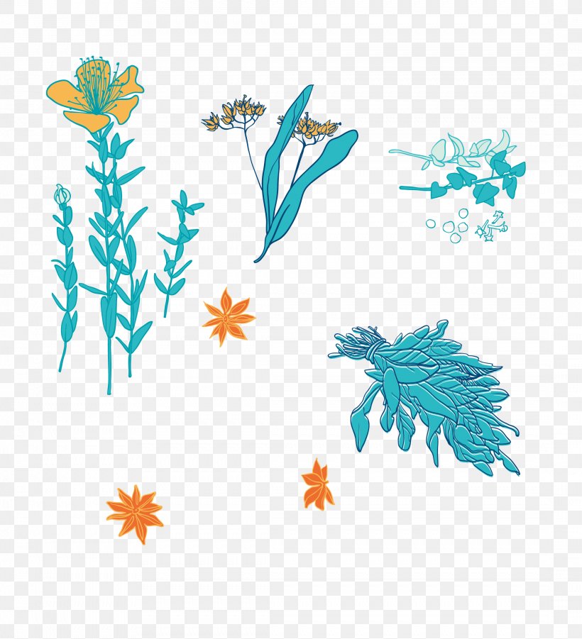 Chinese Herbology Clip Art, PNG, 2173x2390px, Chinese Herbology, Aqua, Branch, Cartoon, Crude Drug Download Free