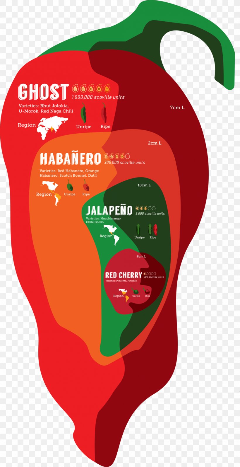 Infographic Chili Pepper Scoville Unit Bhut Jolokia Jalapeño, PNG, 1000x1945px, Infographic, Bhut Jolokia, Capsicum, Chili Pepper, Content Download Free