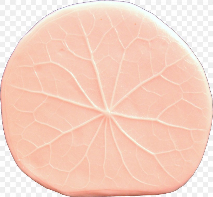Pink M Circle, PNG, 1633x1509px, Pink M, Peach, Petal, Pink Download Free
