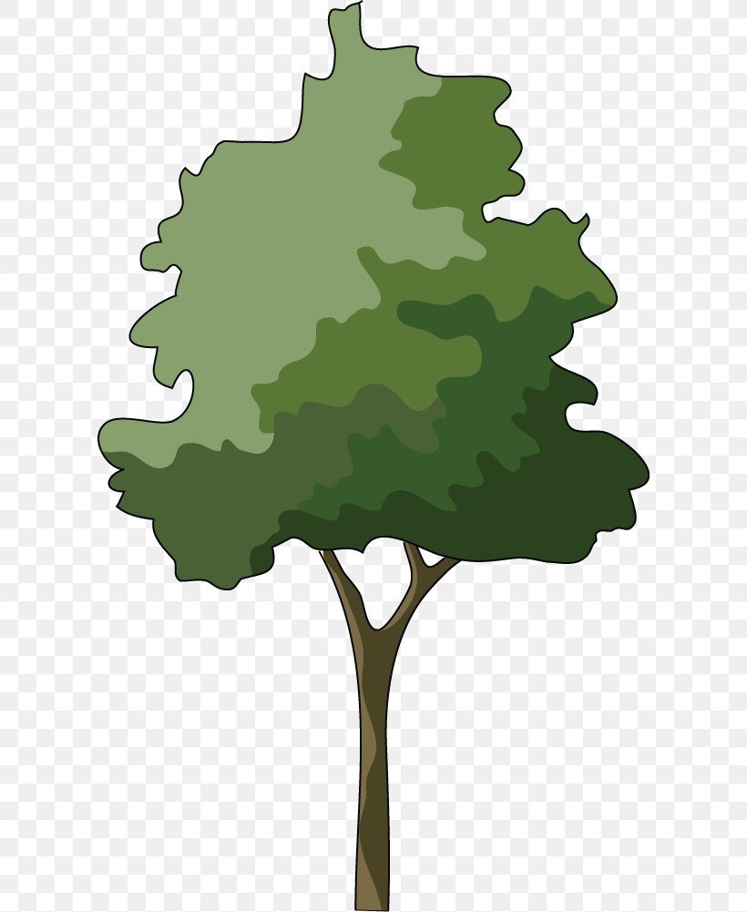 Branch Japanese Maple Tree Clip Art, PNG, 606x1001px, Branch, Bonsai, Flora, Grass, Green Download Free