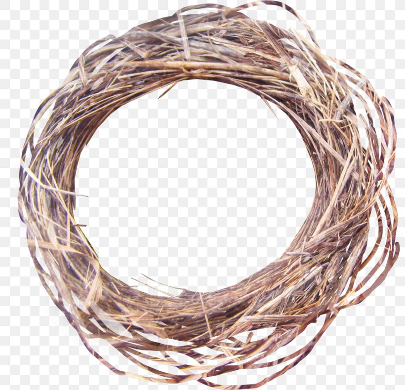Carrelage Soap Bird Nest Image, PNG, 800x790px, Carrelage, Barbed Wire, Bird, Bird Nest, Branch Download Free