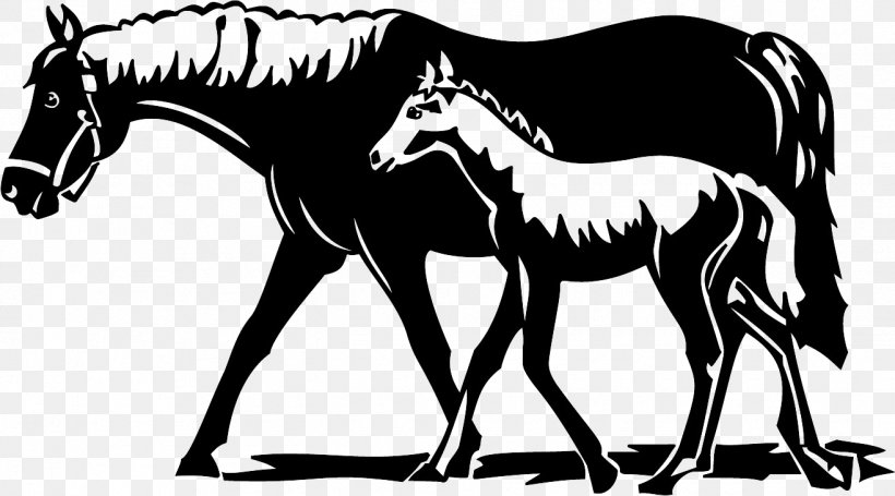 Foal Mustang Pony Stallion, PNG, 1315x731px, Foal, Black And White, Colt, Fauna, Fictional Character Download Free