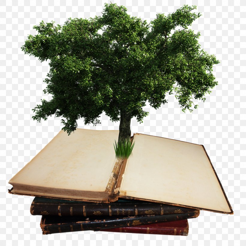 Tree Shrub Two-dimensional Space, PNG, 1024x1024px, 2d Computer Graphics, Tree, Computeraided Design, Dwg, Houseplant Download Free