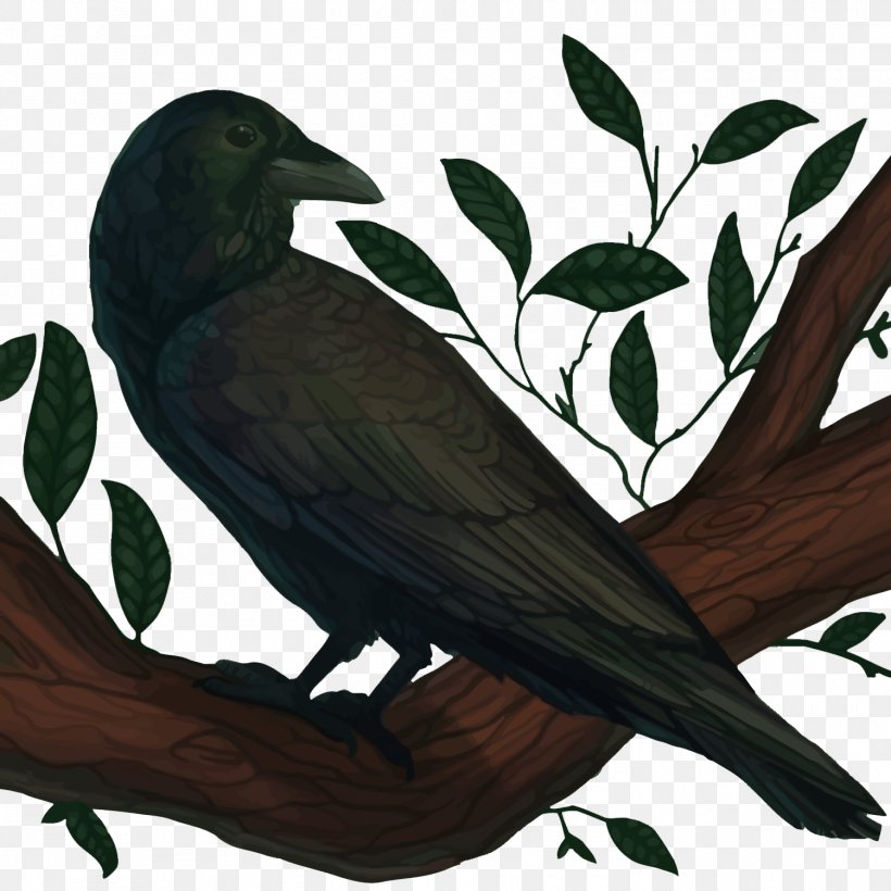 American Crow New Caledonian Crow Common Raven Bird, PNG, 1500x1500px, American Crow, Beak, Bird, Branch, Cartoon Download Free