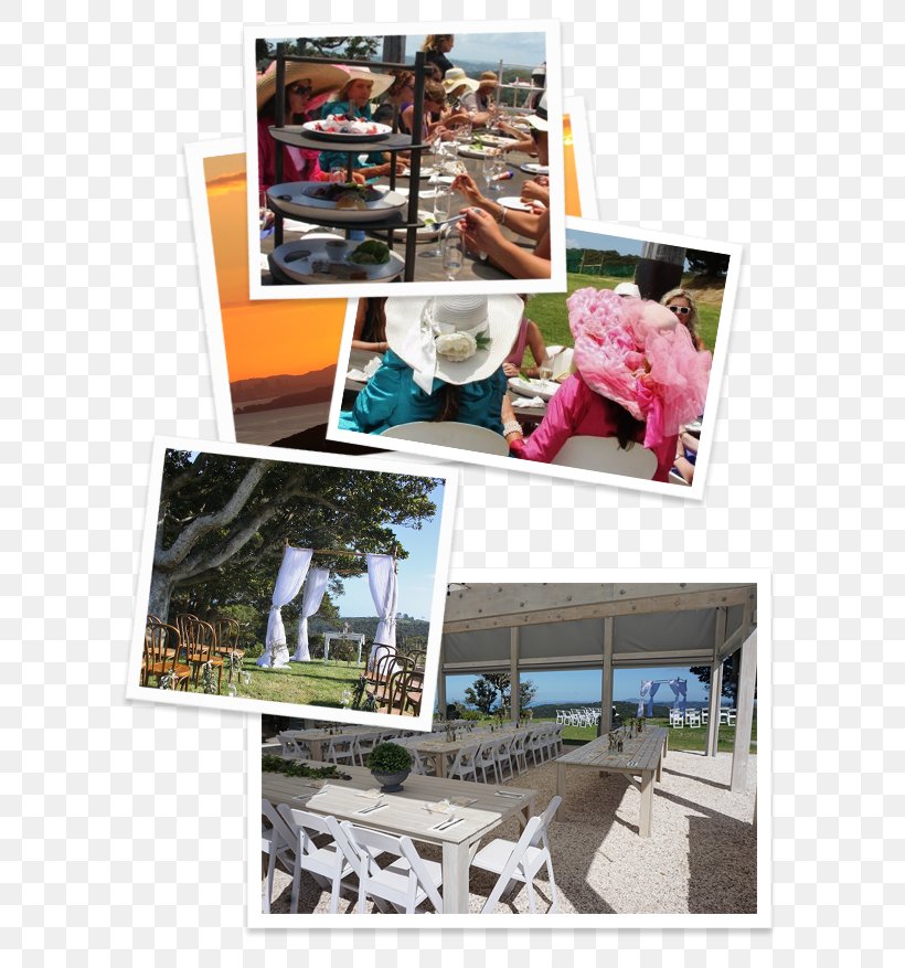 Batch Winery Coromandel Peninsula Sky Tower Restaurant Common Grape Vine, PNG, 629x877px, Batch Winery, Afternoon, Auckland, Bach, Collage Download Free