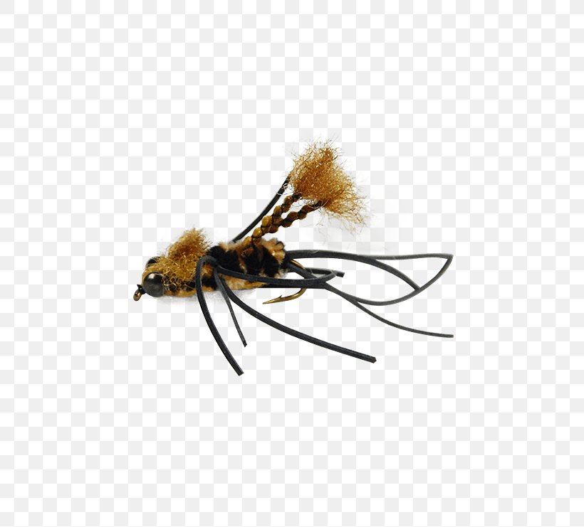 Honey Bee Crayfish Bass Fly Fishing, PNG, 555x741px, Honey Bee, Arthropod, Bass, Bee, Chart Download Free