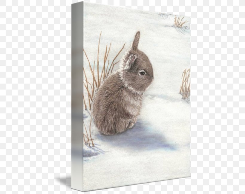 Domestic Rabbit Hare Gallery Wrap Whiskers, PNG, 466x650px, Domestic Rabbit, Art, Canvas, Fauna, Fur Download Free