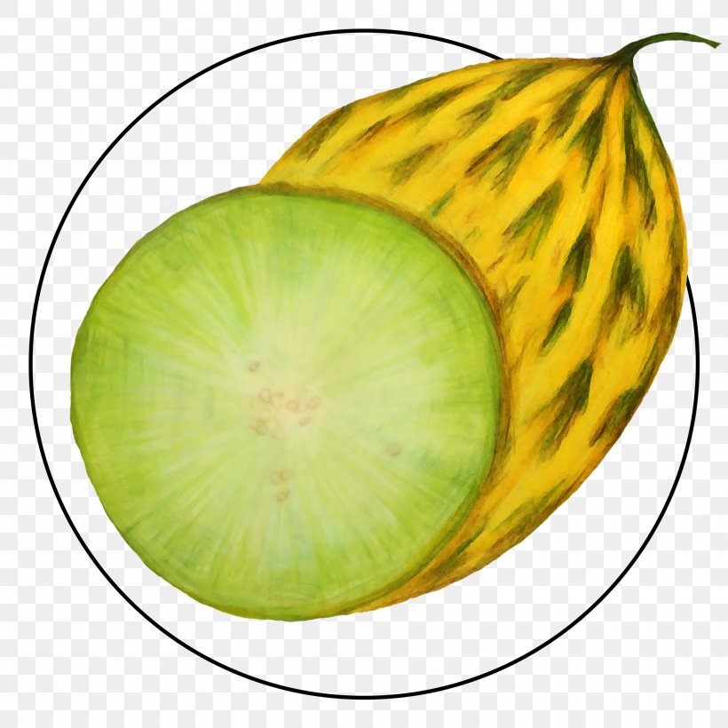 Green Leaf Background, PNG, 2000x2000px, Melon, Centimeter, Dishware, Food, Fruit Download Free