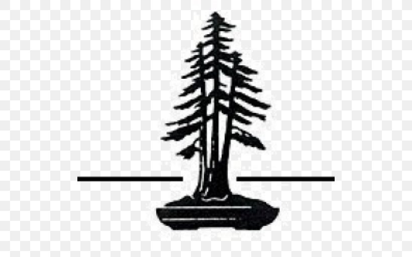 Redwood National And State Parks Coast Redwood North Coast Christmas Tree, PNG, 512x512px, 2018, Redwood National And State Parks, Black And White, Bonsai, California Download Free