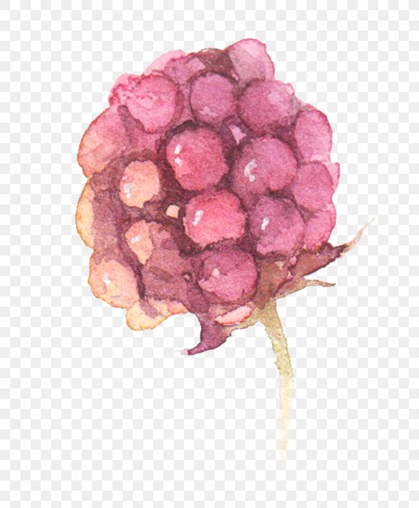 Watercolor: Flowers Watercolor Painting Grape, PNG, 958x1162px, Watercolor Flowers, Berry, Designer, Flower, Food Download Free
