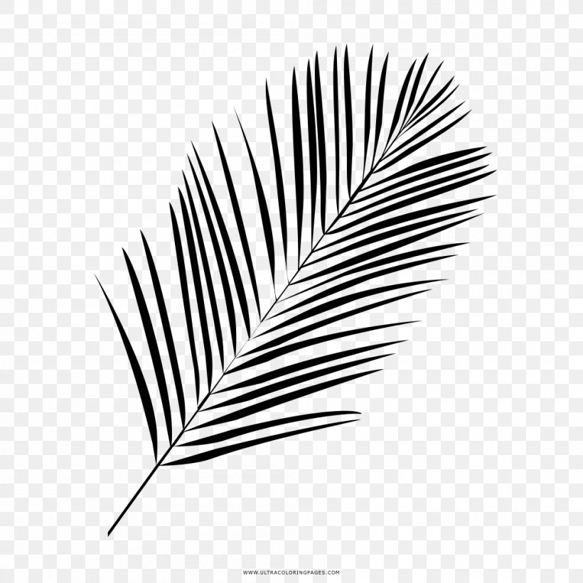 Drawing Black And White Leaf Coloring Book, PNG, 1000x1000px, Drawing, Black, Black And White, Book, Color Download Free