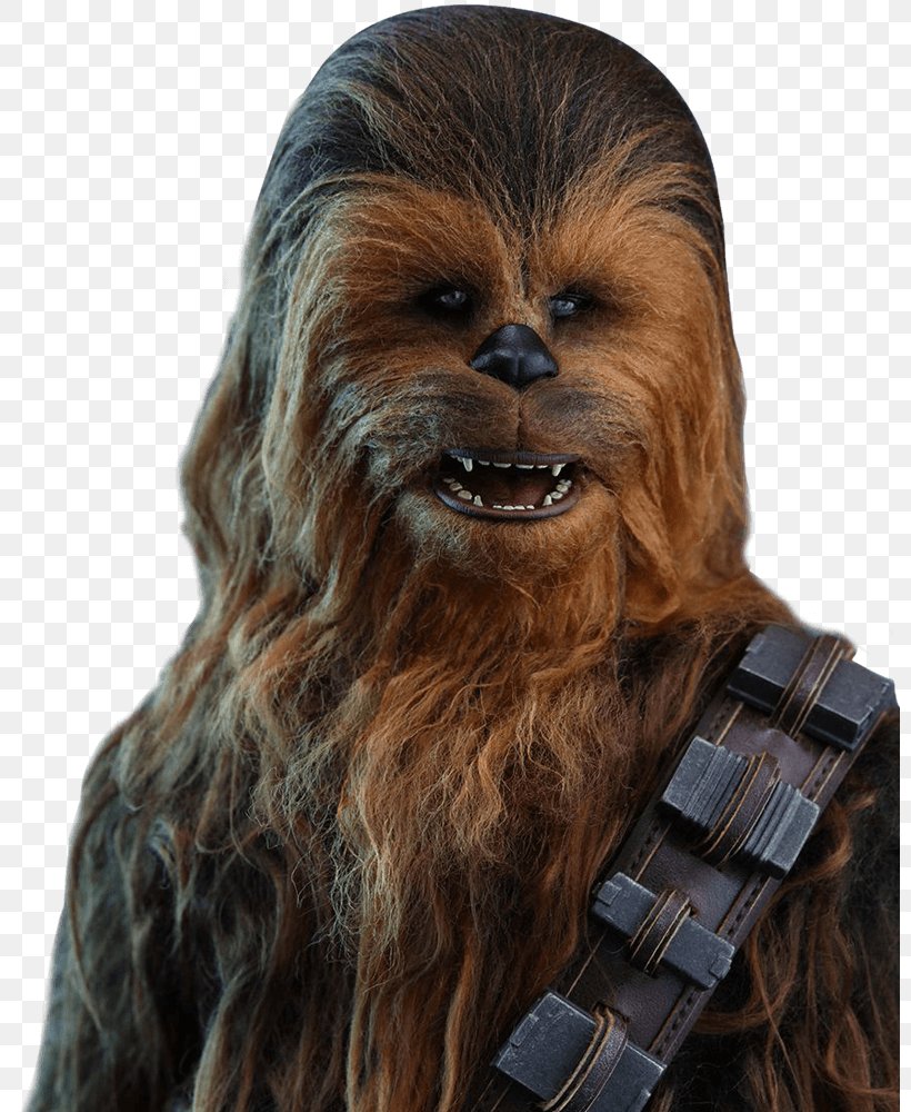 Chewbacca Stormtrooper R2-D2 Action & Toy Figures Hot Toys Limited, PNG, 800x1000px, 16 Scale Modeling, Chewbacca, Action Toy Figures, Force, Fur Download Free