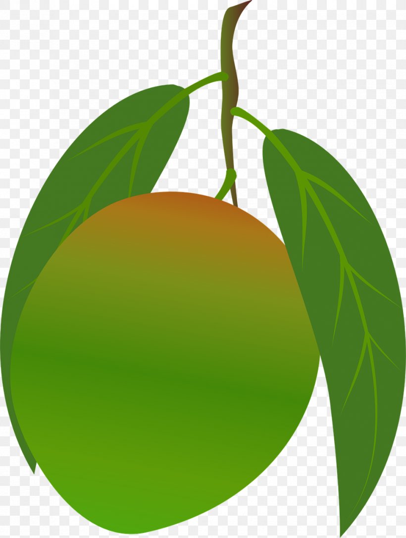Citrus Mango Food Clip Art, PNG, 967x1280px, Citrus, Apple, Branch, Food, Fruit Download Free