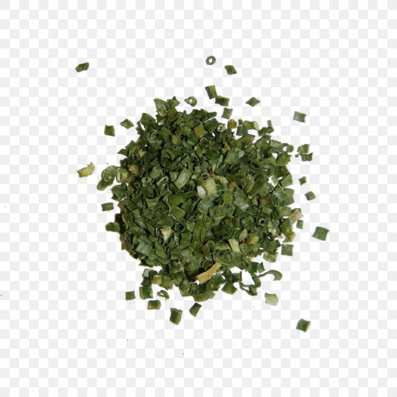 Herb Spice Omelette Coriander, PNG, 1024x1024px, Herb, Biluochun, Chives, Com, Coriander Download Free