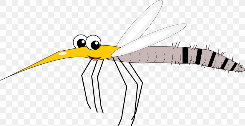 Insect Zika Virus Vector Scientist Disease, PNG, 1280x661px, Insect, Artwork, Beak, Child, Disease Download Free