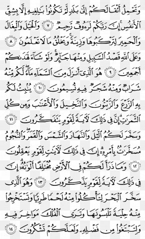 Quran Al Isra Surah Al A Raf Jerusalem Png 800x1294px Quran Ala Raf Albaqara Alfatiha Alhijr Download Free Quran Al Isra Surah Al A Raf Jerusalem Png 800x1294px Quran Ala Raf Albaqara Alfatiha Alhijr Download Free