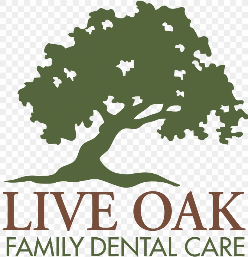 Dentistry Safety Syringe Patient Village Oaks Dental, PNG, 1172x1215px, Dentist, Brand, Clive Barker, Dentistry, Grass Download Free