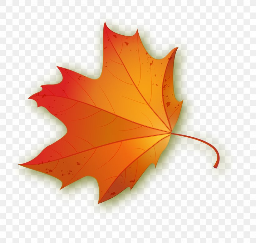 Maple Leaf, PNG, 2000x1897px, Maple Leaf, Banner, Leaf, Maple, Orange Download Free