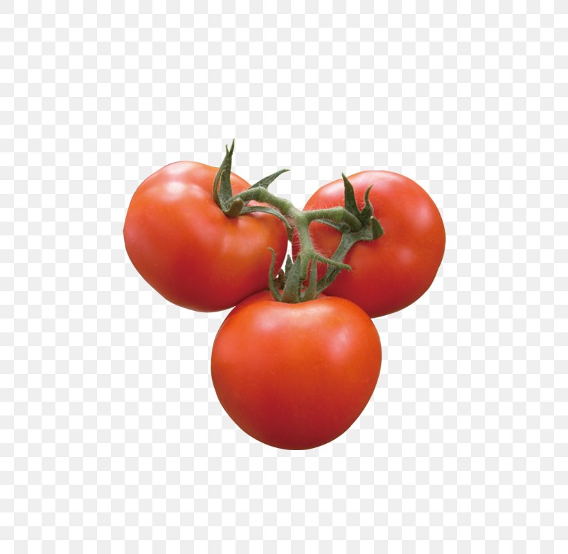 Plum Tomato Vegetable, PNG, 800x800px, Plum Tomato, Auglis, Blog, Bush Tomato, Diet Food Download Free