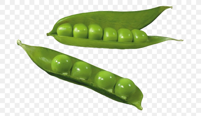 Split Pea Silique Common Bean Clip Art, PNG, 760x473px, Pea, Bean, Commodity, Common Bean, Food Download Free