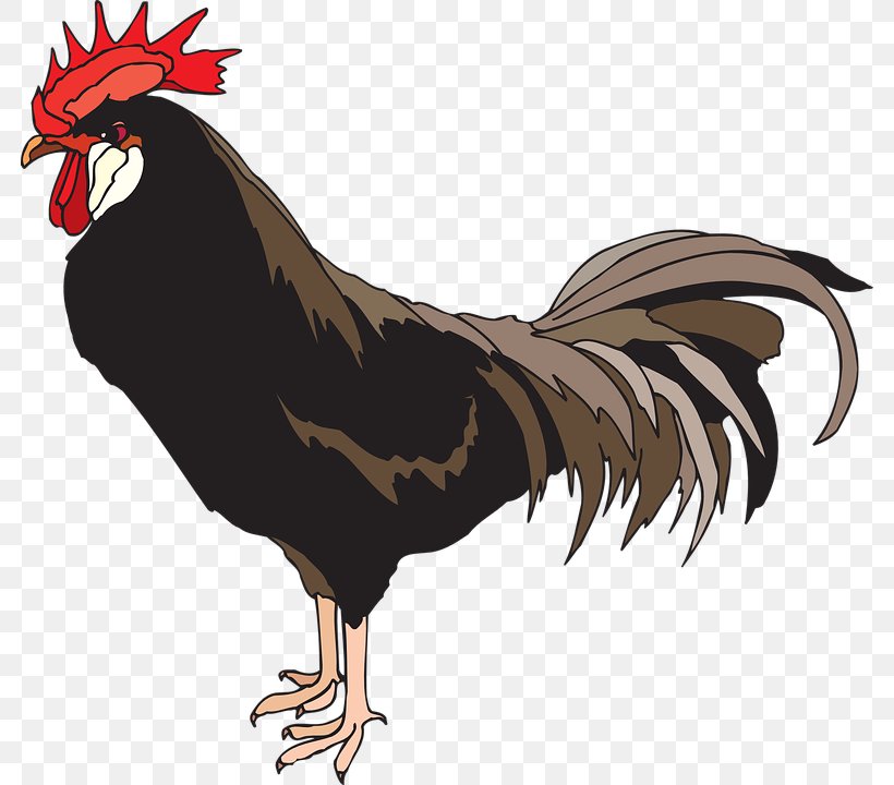 Rooster Clip Art, PNG, 782x720px, Chicken, Beak, Bird, Chicken Meat, Fauna Download Free