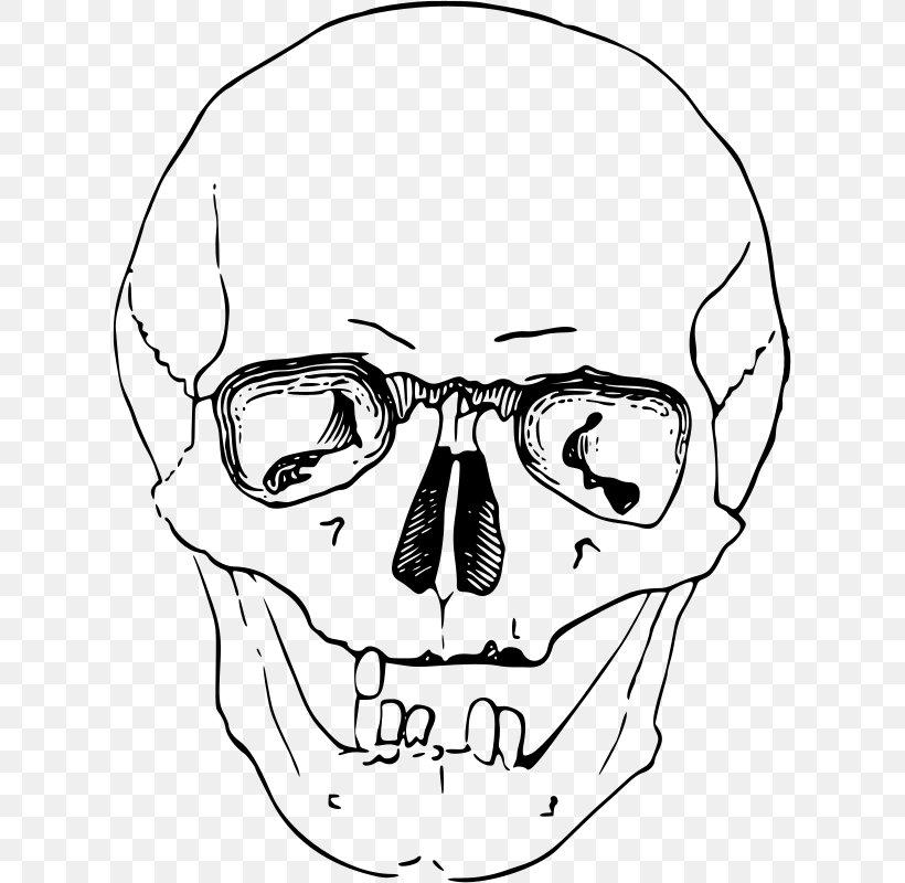 Skull Skeleton Clip Art, PNG, 615x800px, Watercolor, Cartoon, Flower, Frame, Heart Download Free